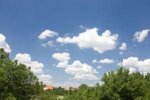 1357085_sky_clouds_trees_and_houses.jpg