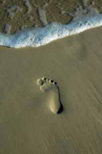 749635_footprint_in_the_sand